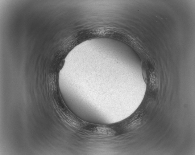 X0000060550605200511171540