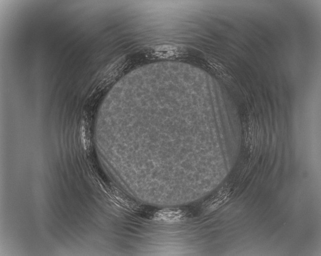 X0000060550606200511171540