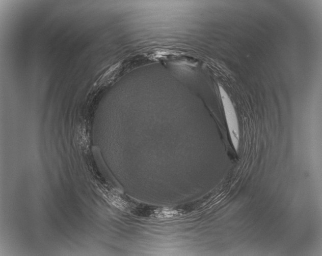 X0000060550607200511171540