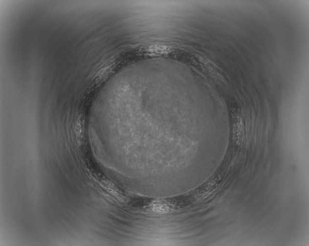 X0000060550608200511171540