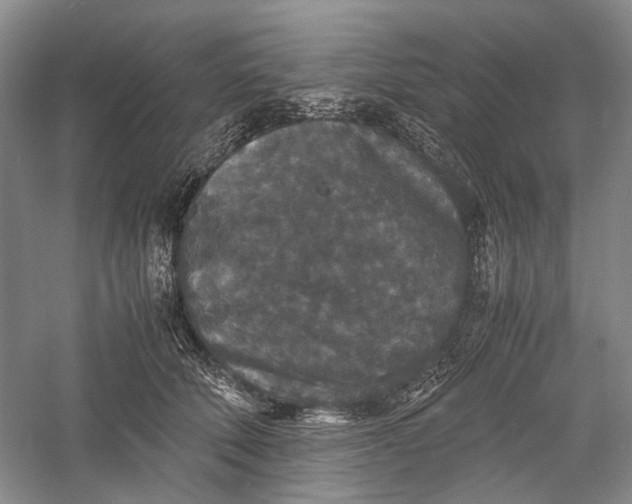 X0000060550610200511171540