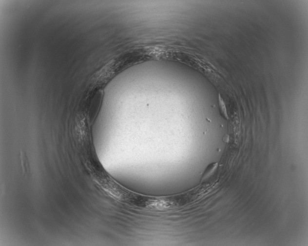 X0000060550611200511171540