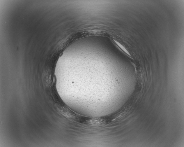 X0000060550615200511171540