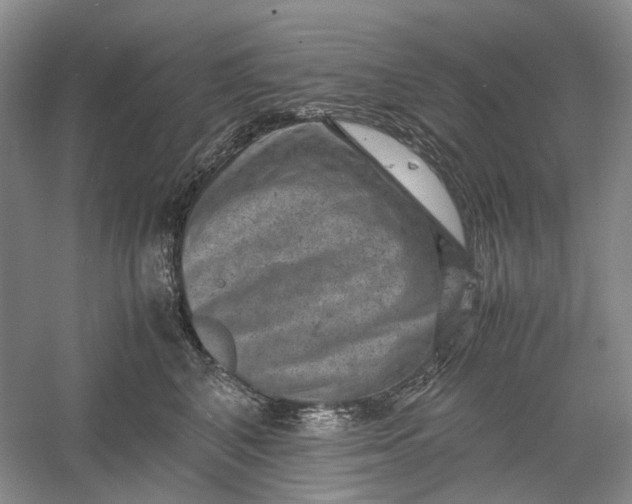 X0000060550616200511171540