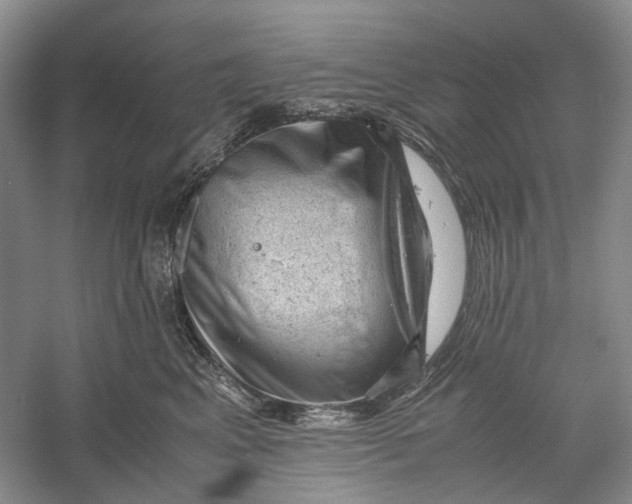 X0000060550617200511171540