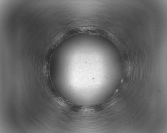 X0000060550619200511171540