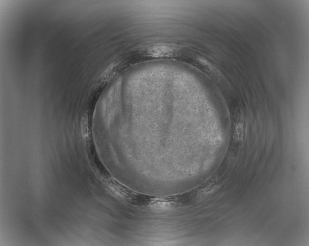 X0000060550620200511171540