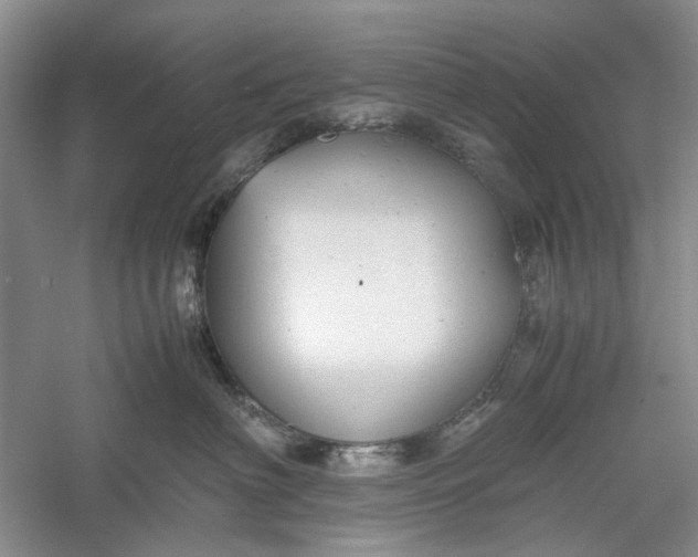 X0000060550622200511171540