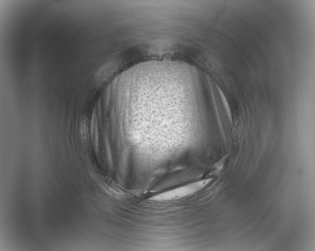 X0000060550623200511171540