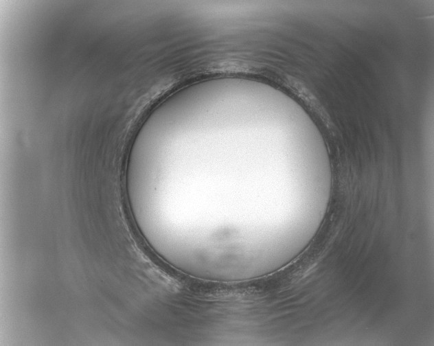 X0000060550625200511171539