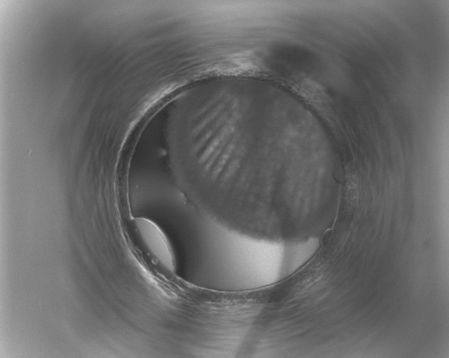 X0000060550626200511171539