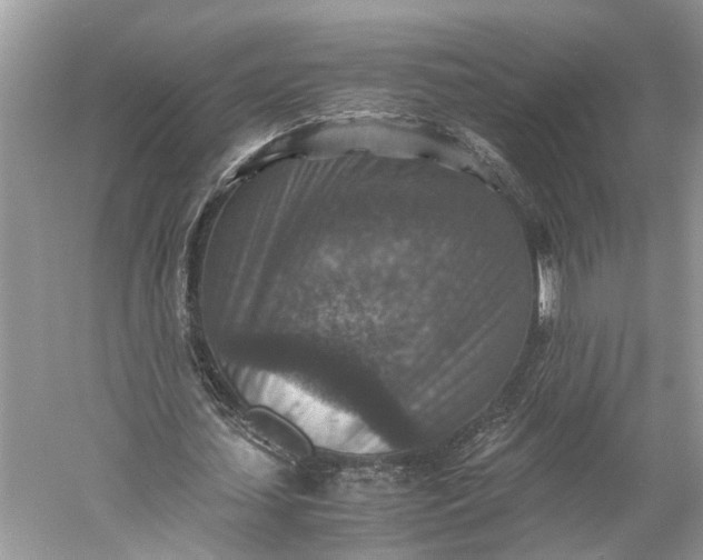 X0000060550627200511171539