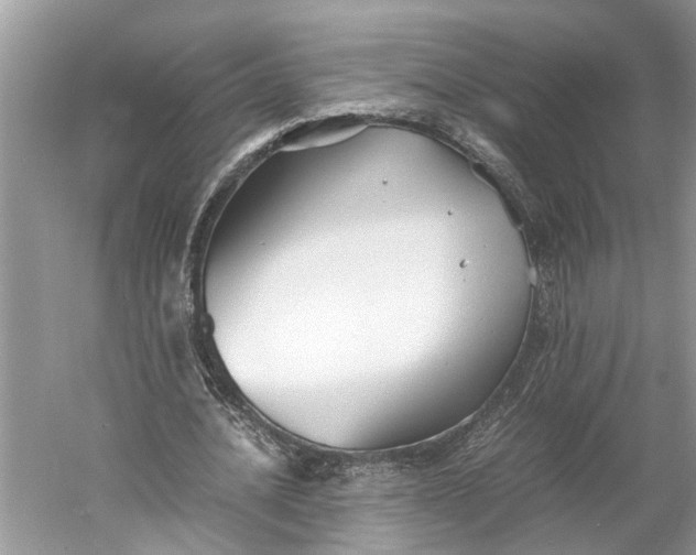 X0000060550628200511171539