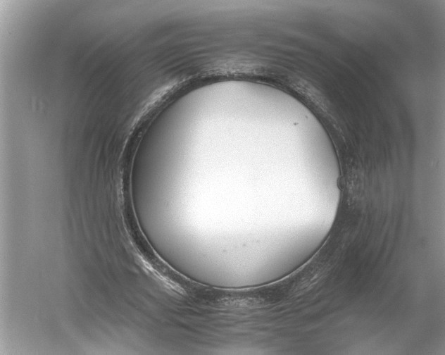 X0000060550629200511171539