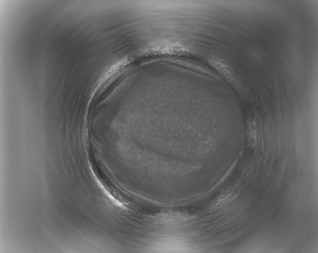 X0000060550630200511171539