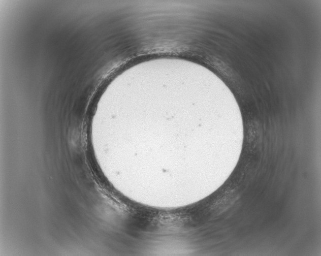 X0000060550632200511171539