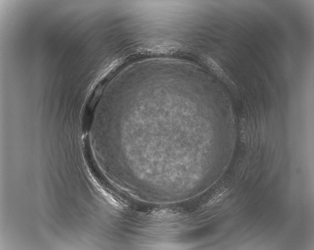 X0000060550634200511171540