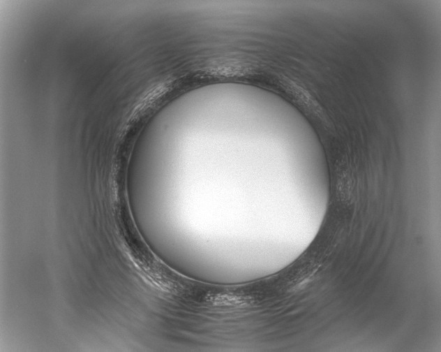 X0000060550635200511171540