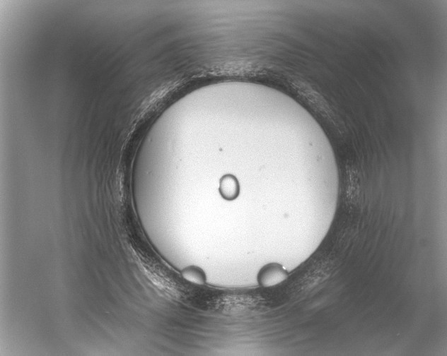 X0000060550636200511171540