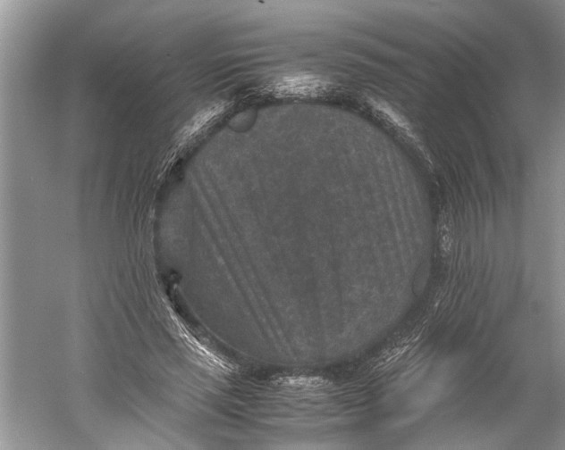 X0000060550637200511171540