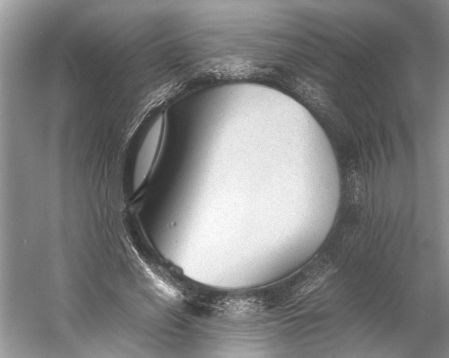 X0000060550638200511171540