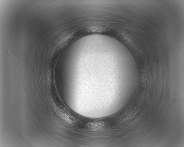 X0000060550639200511171540