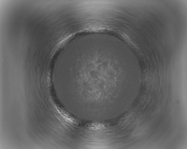 X0000060550640200511171540