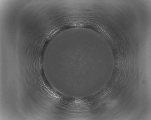 X0000060550641200511171540