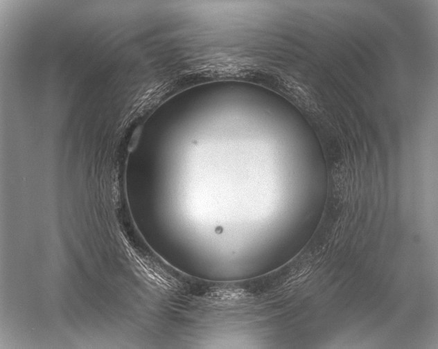 X0000060550642200511171540