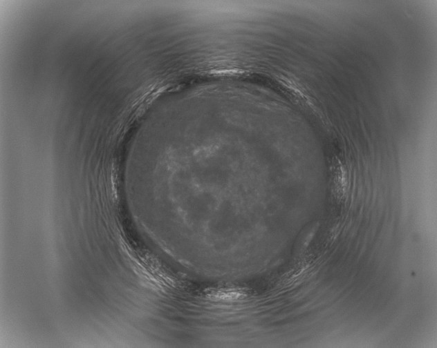 X0000060550643200511171540