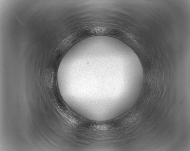 X0000060550645200511171540