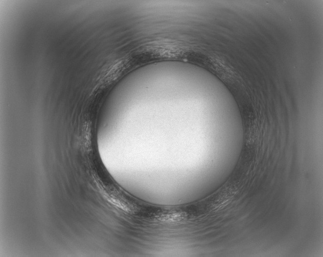 X0000060550646200511171540