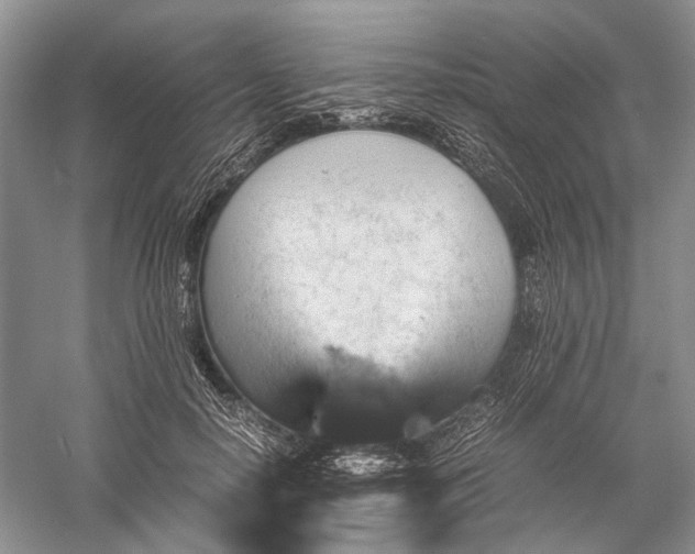 X0000060550650200511171540