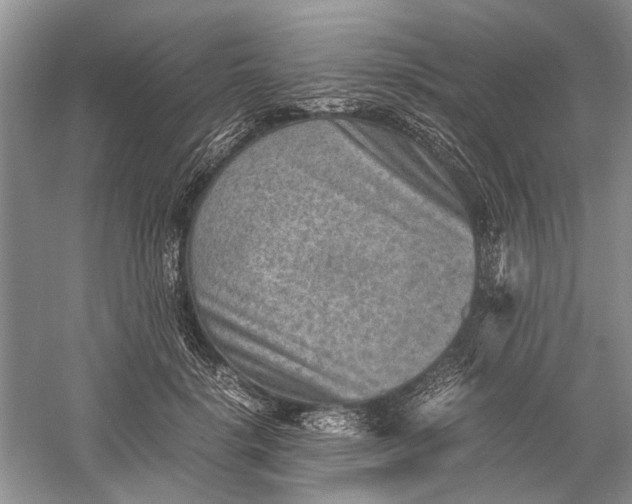 X0000060550652200511171540