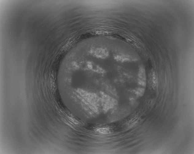 X0000060550653200511171540