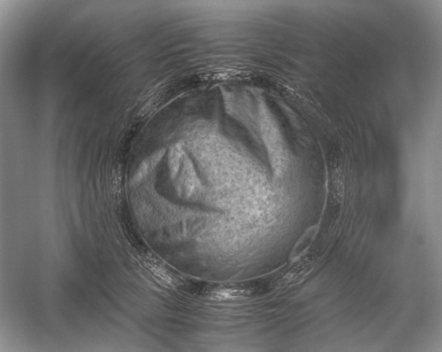 X0000060550657200511171540