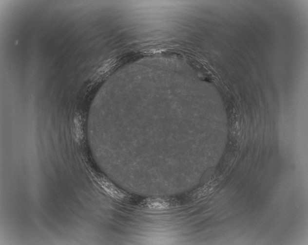 X0000060550658200511171540