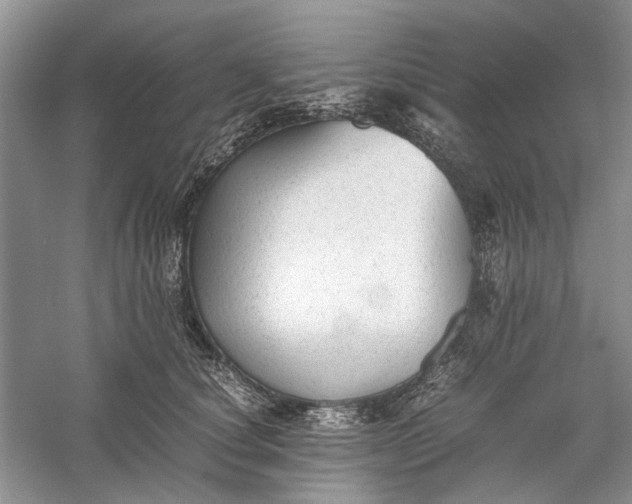 X0000060550660200511171540