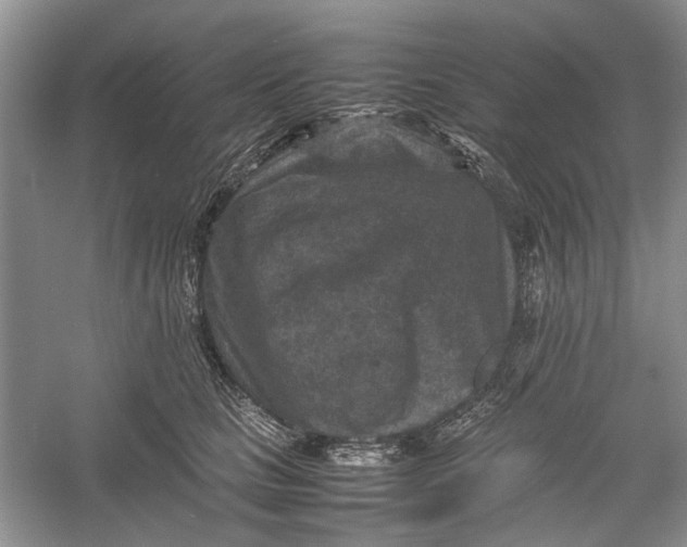 X0000060550661200511171540