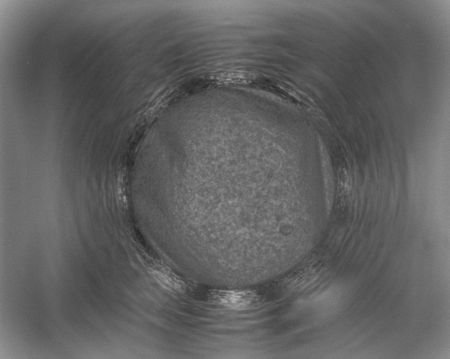 X0000060550663200511171540