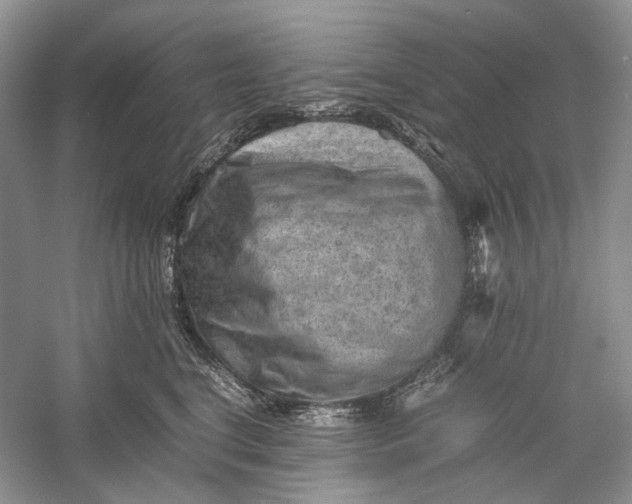 X0000060550664200511171540