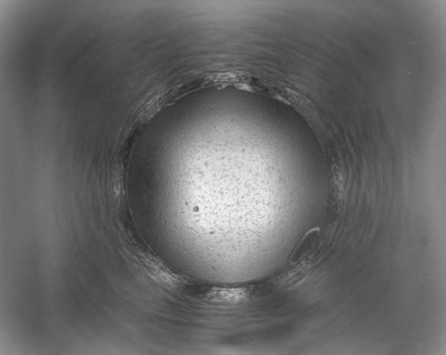 X0000060550665200511171540