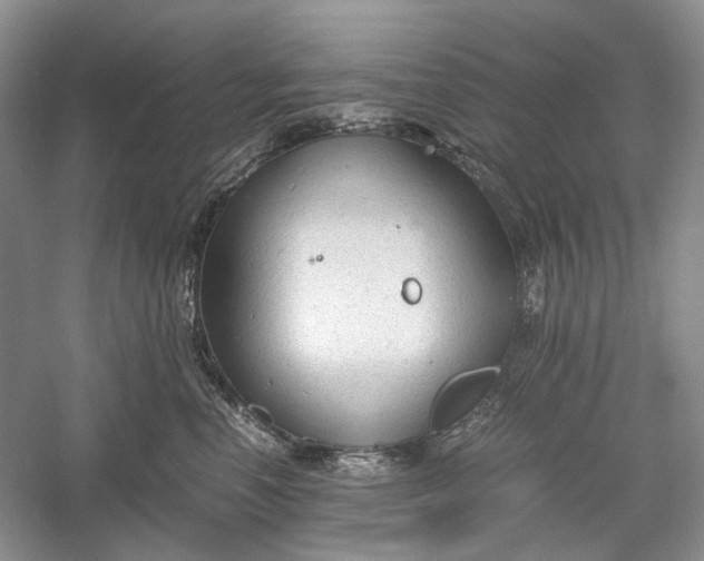 X0000060550666200511171540