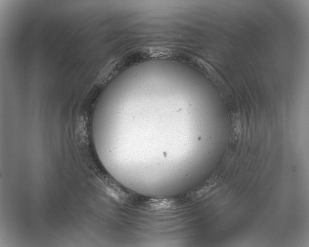 X0000060550667200511171540