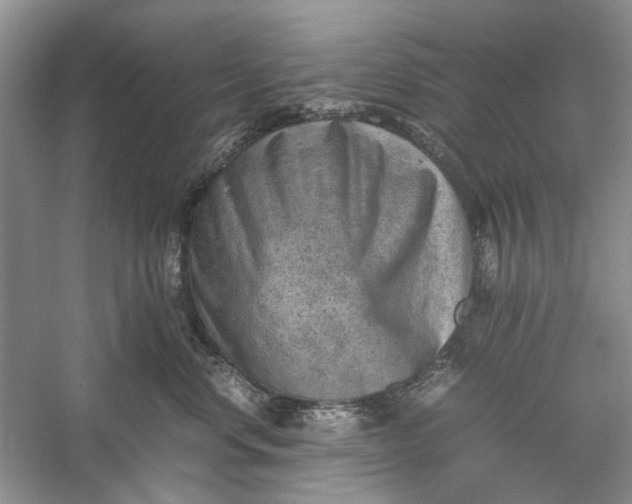 X0000060550668200511171540