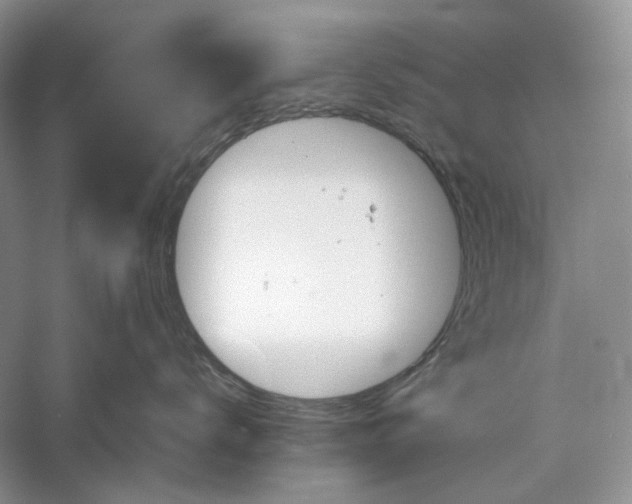 X0000060550672200511171540