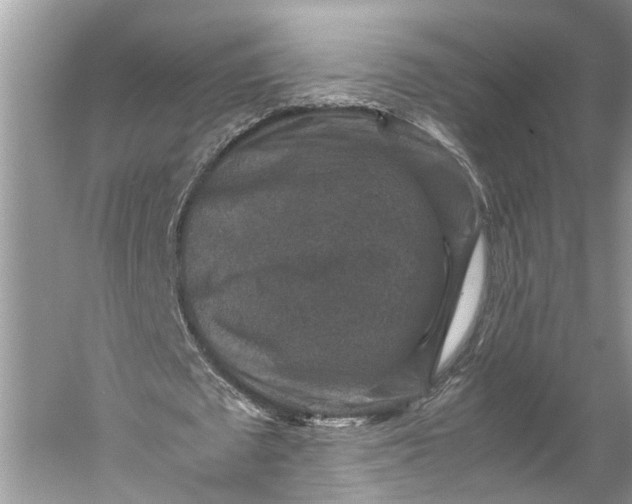 X0000060550673200511171539