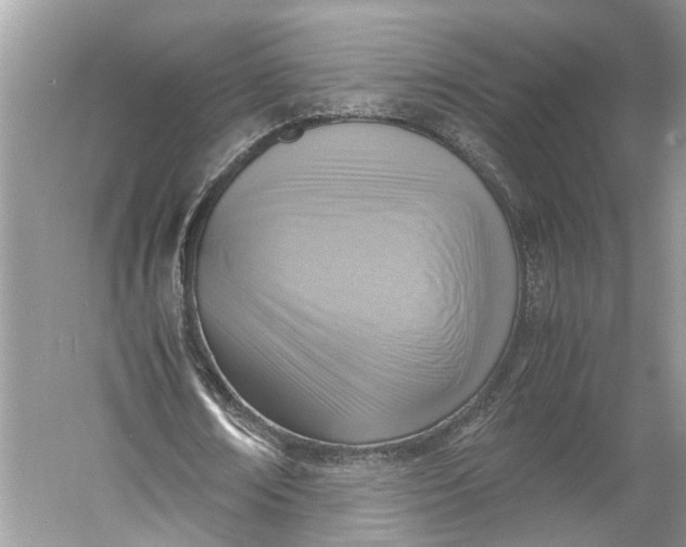 X0000060550674200511171539