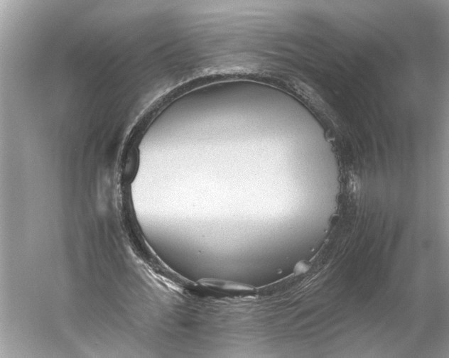 X0000060550676200511171539