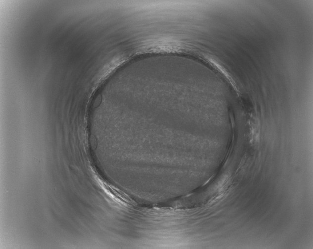 X0000060550677200511171539